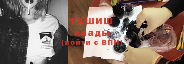 индика Богородицк