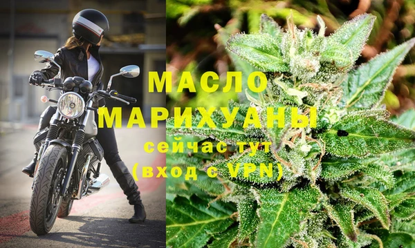 индика Богородицк