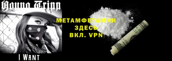 индика Богородицк