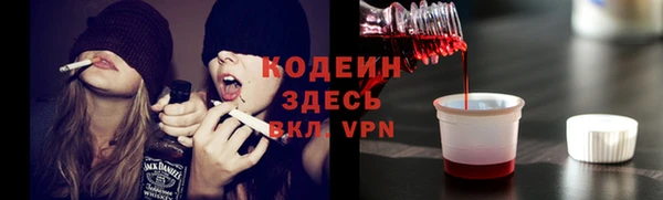 индика Богородицк