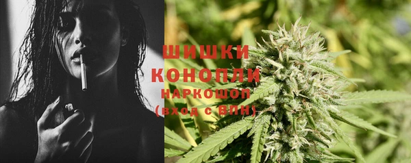 индика Богородицк
