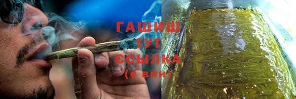 индика Богородицк