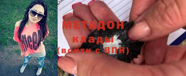 индика Богородицк