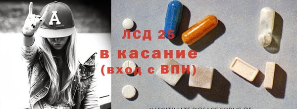 индика Богородицк