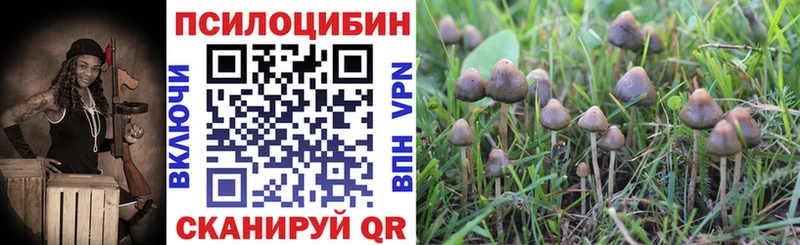 Галлюциногенные грибы Magic Shrooms  Бородино 