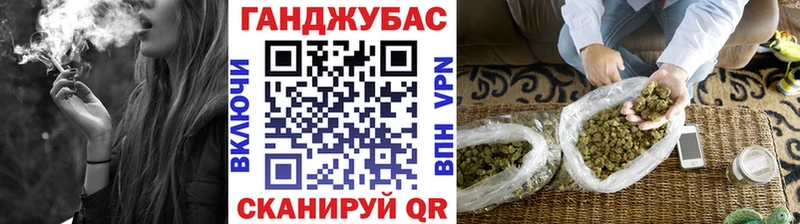 Канабис гибрид  Бородино 